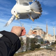 Istanbul: Best of The City Full-Day Tour with Transfers