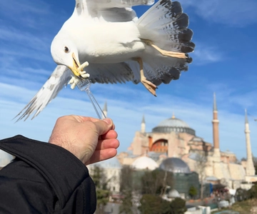 Istanbul: Best of The City Full-Day Tour with Transfers