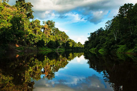 From Iquitos: 3-Day Amazon Jungle Camping Adventure