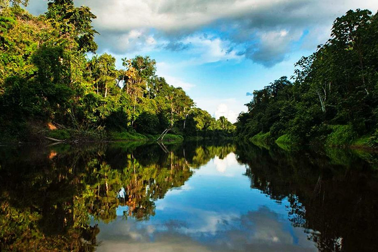 From Iquitos: 3-Day Amazon Jungle Camping Adventure