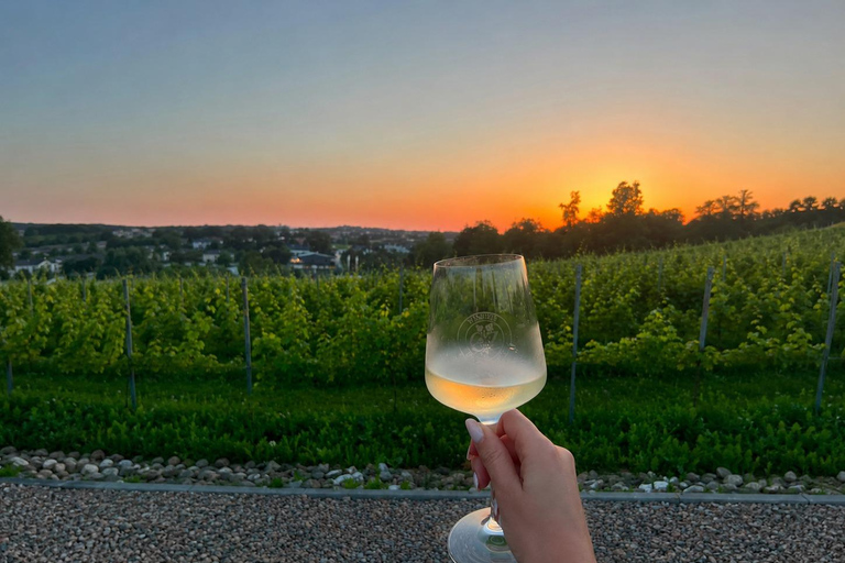 Near Wieliczka: Vineyard Picnic with Basket & Wine for Two