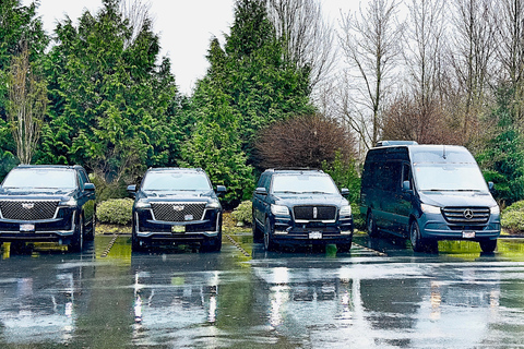 Whistler-Vancouver Private Charter Shuttle Whistler-Vancouver airport(Benz Van)