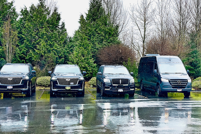 Whistler-Vancouver Private Charter Shuttle Whistler-Vancouver airport(Benz Van)