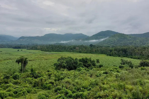 Chebera Churchura: Wildtiere &amp; malerische Ausblicke 4-tägige TourChebera Churchura: 4-tägige Tour mit Wildtieren und tollen Aussichten