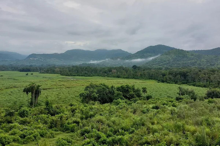 Chebera Churchura: Wildtiere &amp; malerische Ausblicke 4-tägige TourChebera Churchura: 4-tägige Tour mit Wildtieren und tollen Aussichten