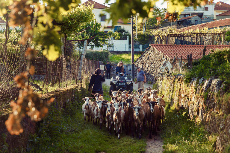 Tour in quad di 2h - Arcos de Valdevez - Peneda Gerês