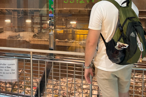 Osaka: Mystery Plant Tour with Guide