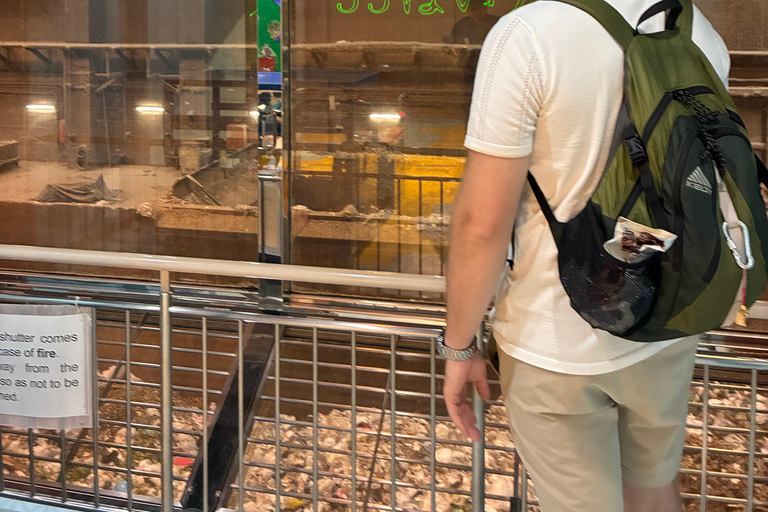 Osaka: Mystery Plant Tour with Guide