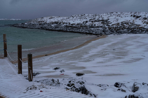 Tromsø : Tour des fjords et des plages avec feu de camp et photos