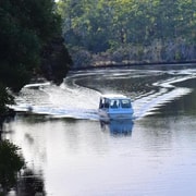 Ulverstone: Leven River History and Nature Cruise