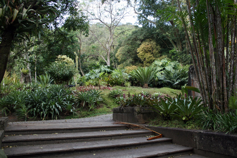 Rio de Janeiro: Sitio Roberto Burle Marx Guidad tur