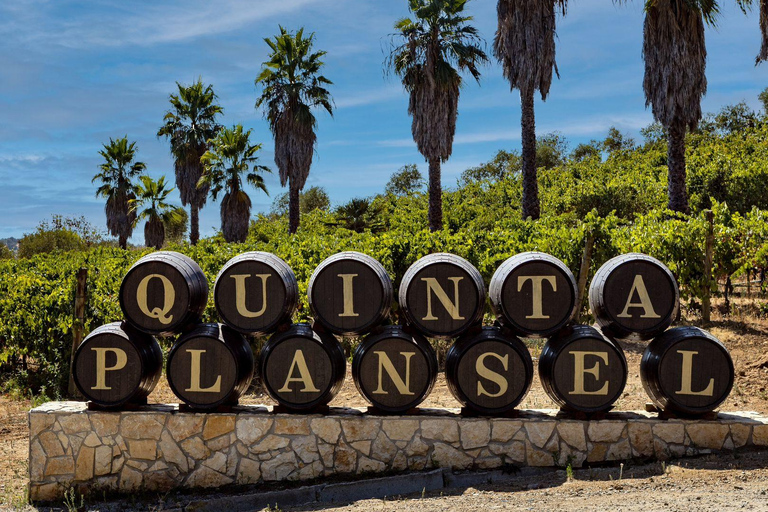 Évora o Montemor: Picnic presso la cantina Plansel