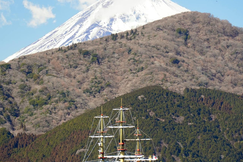 From Tokyo: Mount Fuji Full Day Customizable Private Tour