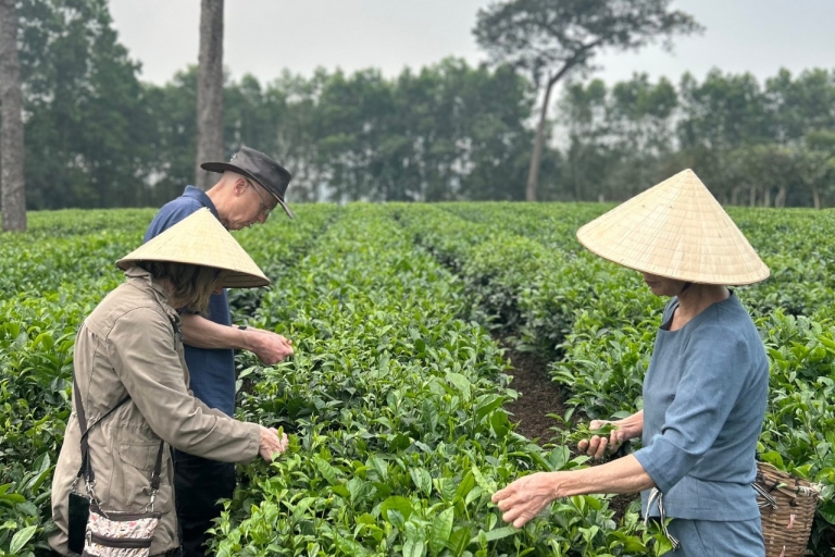 Hanoi Eco Tour: Ba Vi National Park Wonders & Tea Platation Private Tour