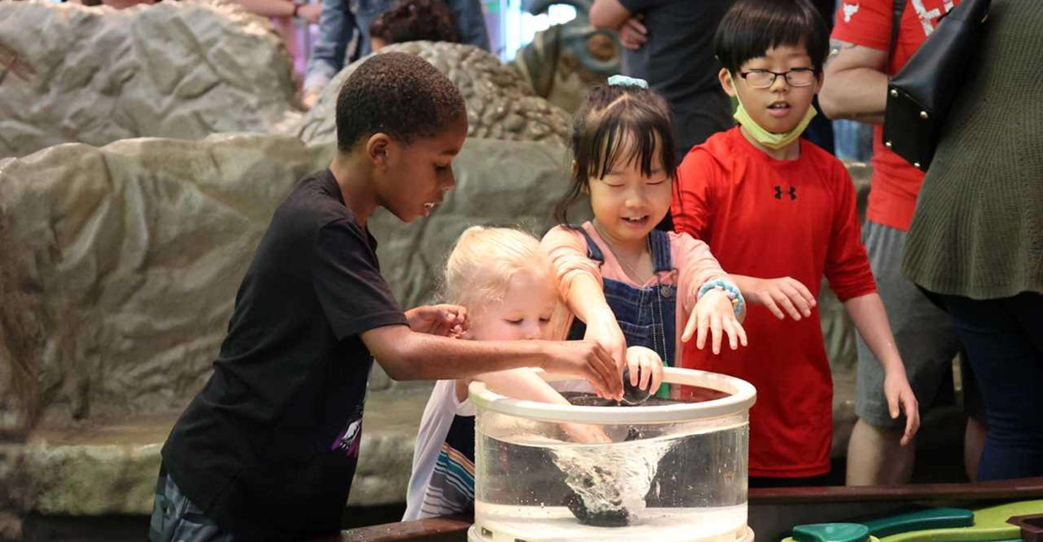 Denver, Museum of Nature and Science Admission Ticket - Housity