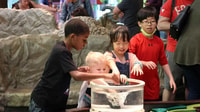 Denver, Museum of Nature and Science Admission Ticket - Housity