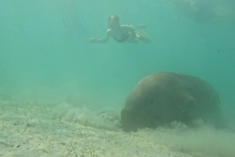 Coron: Dugong Watching Tour with Snorkeling