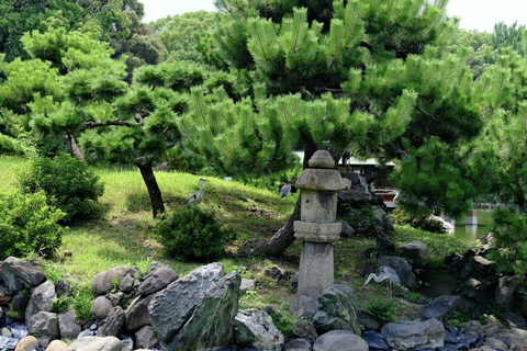 Rondleiding door Tokio: Keizerlijk Paleis, Sake, Robots, Tuinen &amp; Museum