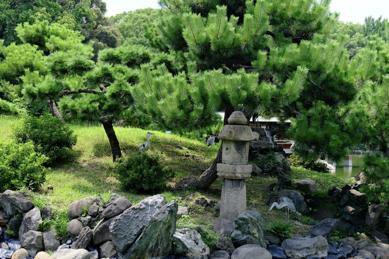 Rondleiding door Tokio: Keizerlijk Paleis, Sake, Robots, Tuinen &amp; Museum