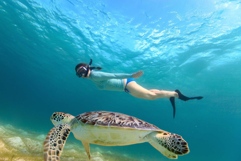 Down South Sri Lanka: 5-Day Beach Adventure Tour