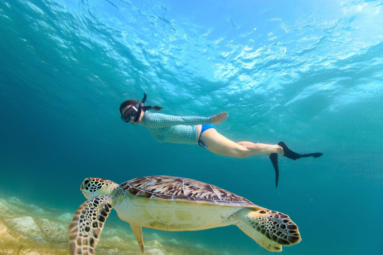 Down South Sri Lanka: 5-Day Beach Adventure Tour