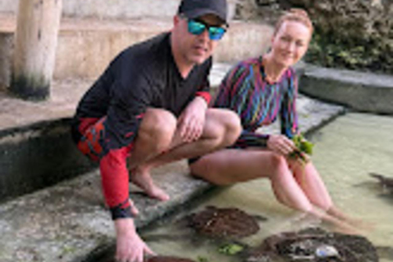 WYCIECZKA MNEMBA DOLPHIN TOUR, AKWARIUM LAGUNA I PLAŻA KENDWA