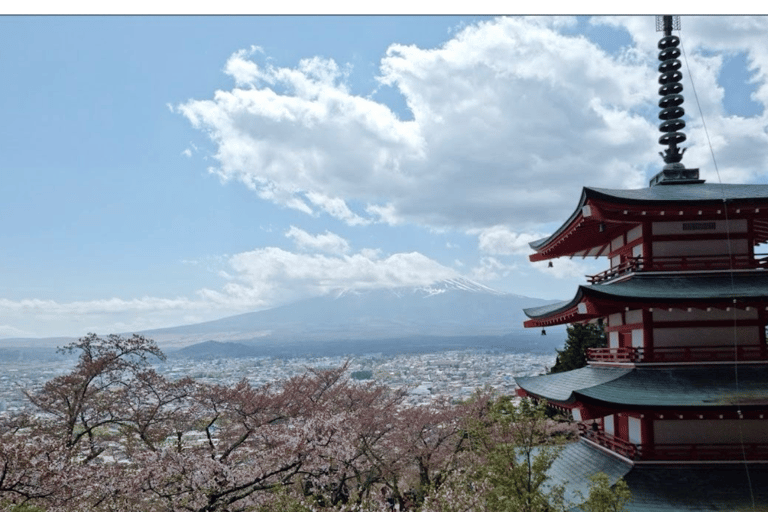 Z Tokio: Prywatna jednodniowa wycieczka na górę Fuji w luksusowym Land CruiserzePrywatna jednodniowa wycieczka krajoznawcza na górę Fuji luksusową Toyotą Crown