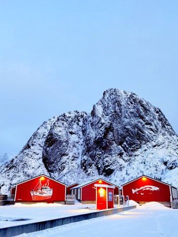 Visit Bodø Lofoten, Senja, Tromsø Flexible 3-Day Private Trip in Lofoten Islands