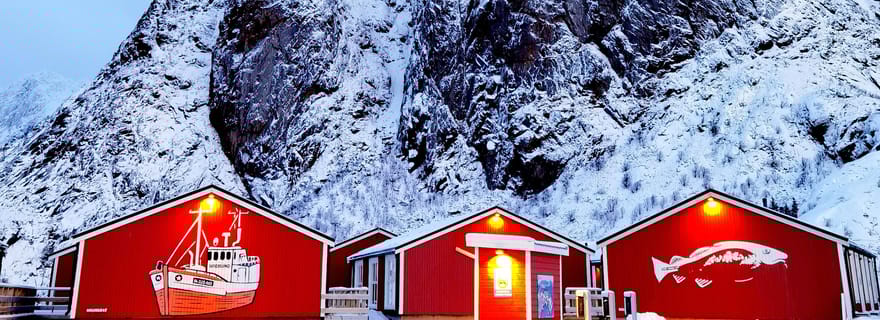 Bodø : Lofoten, Senja, Tromsø Excursion privée flexible de 4 jours