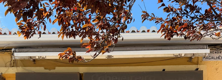 Cascais : visite du studio de savon artisanal Earth & Soul