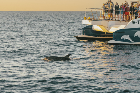 Port d&#039;Alcudia: Soluppgång till havs och båttur med delfinskådning