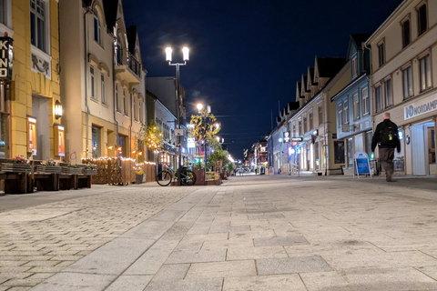 Tromsø: Small Group City Walk & Cinnamon Bun at Fint Café