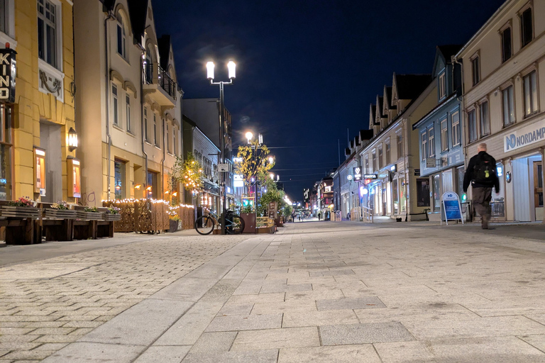 Tromsø: Small Group City Walk & Cinnamon Bun at Fint Café