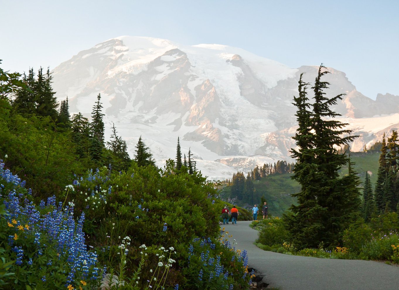 Seattle: Mount Rainier Park All-Inclusive tur med en lille gruppe