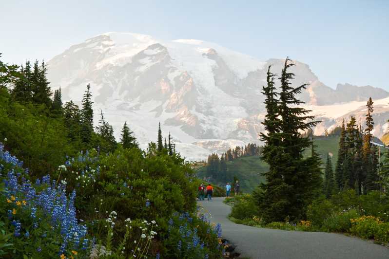 Seattle: Tour per piccoli gruppi tutto incluso del Parco del Monte Rainier