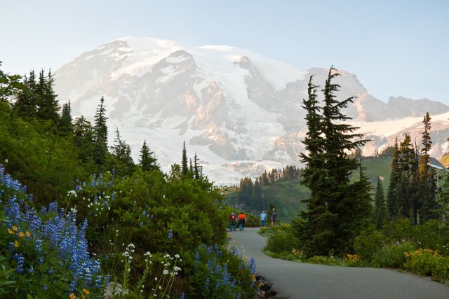 Visit Seattle Mount Rainier Park All-Inclusive Small Group Tour in Seattle