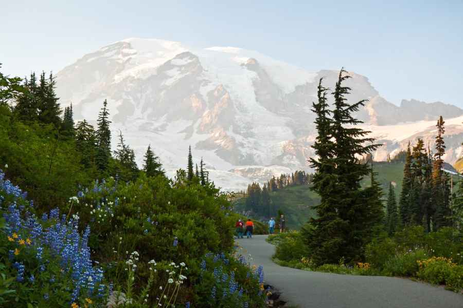 Seattle: Mount Rainier Park All-Inclusive Kleingruppentour. Foto: GetYourGuide