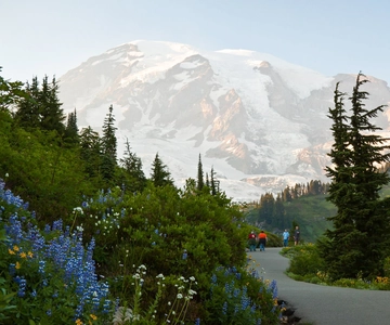 Seattle: Mount Rainier Park All-Inclusive Small Group Tour