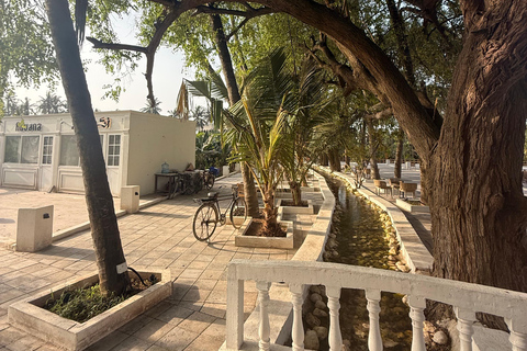 Salalah Highlights Tour: Heritage Sites, Markets &amp; Beach