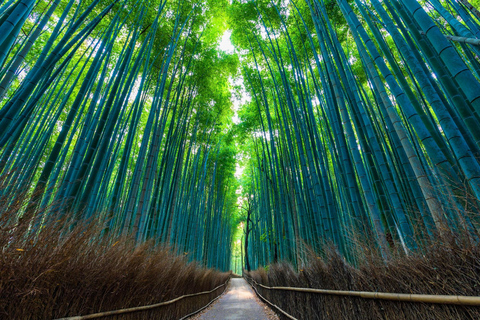 Enkelriktad buss: från Kanazawa till Kyoto