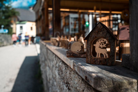 From Vienna: Hallstatt and Treetop Path Private Day Trip
