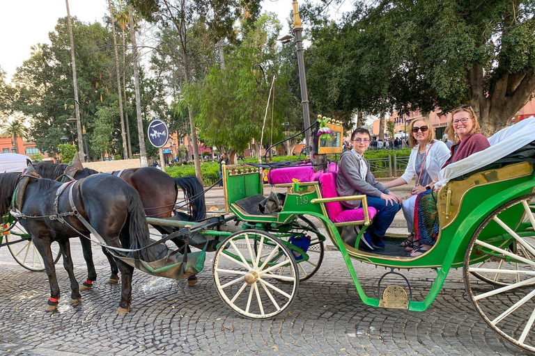 Agadir: Marrakech Guided Day Experience with Medina and Souk Agadir: Marrakech Day Trip with Old Medina & Souks Guide