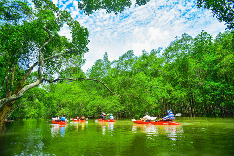 Krabi's Hidden Mangrove Kayak Tour Full Day Kayak + Massage spa