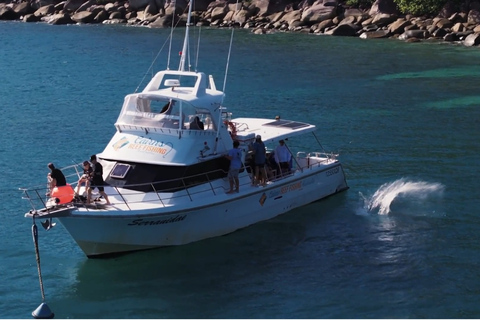 Cairns: Great Barrier Reef Fishing Charter with Lunch