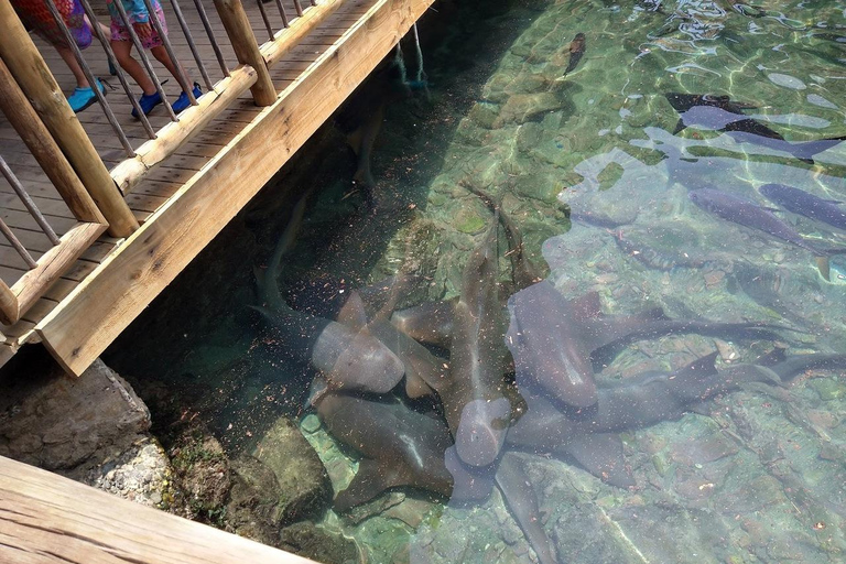 SANTAMARTA: TOUR Playa Blanca, Acquario Museo del Mare