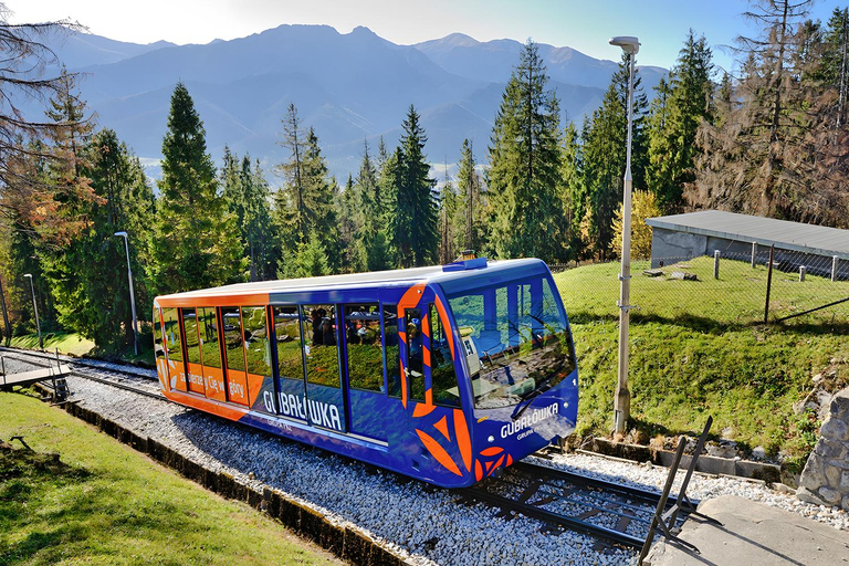 From Krakow: Zakopane and Thermal Spa Day Trip
