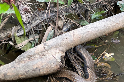 Plan Amazonas Volledig Extreem 5 dagen 4 nachten | Leticia Amazonas