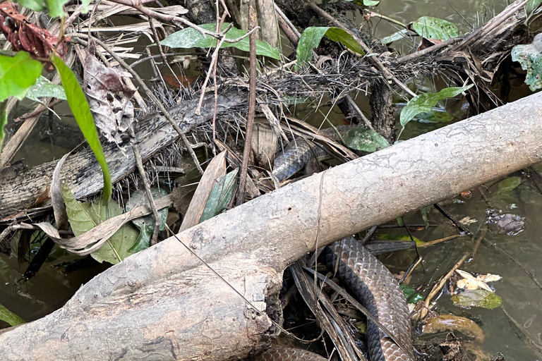 Plan Amazonas Volledig Extreem 5 dagen 4 nachten | Leticia Amazonas