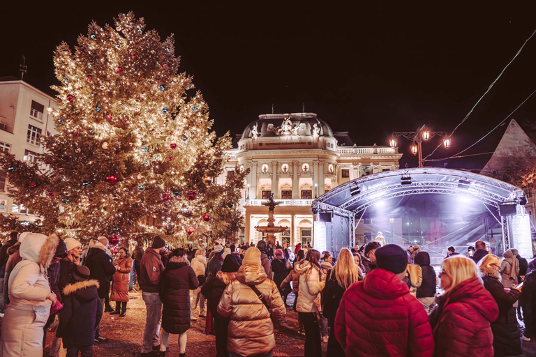 From Vienna: Bratislava Christmas Markets Guided Tour