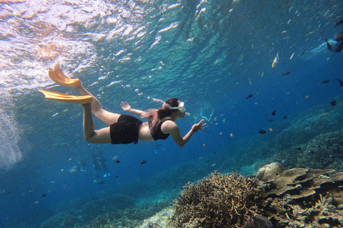 Nusa Penida: West Coast Adventure Package Nusa Penida: West & Snorkeling Package
